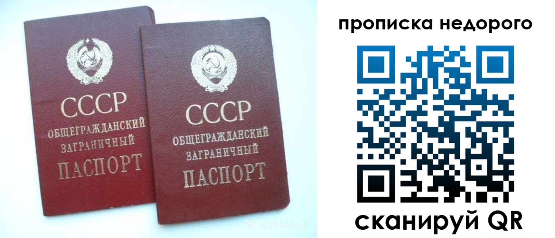 временная прописка в Курске