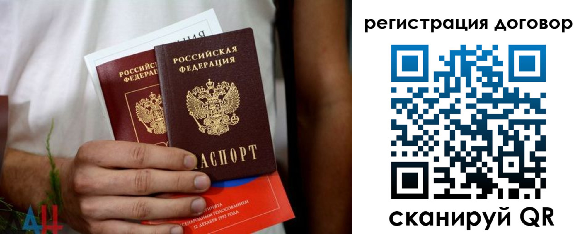 прописка гарантия в Курске